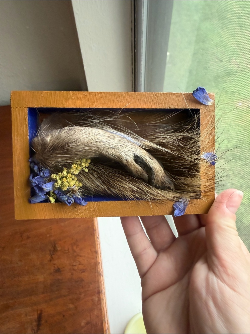 Raccoon paw with Floral Detail - Taxidermy Art